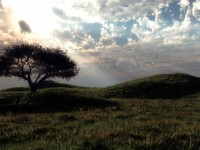 /album/fantasy-landscape/baum-auf-wiese-hd-grun-blau-jpg/